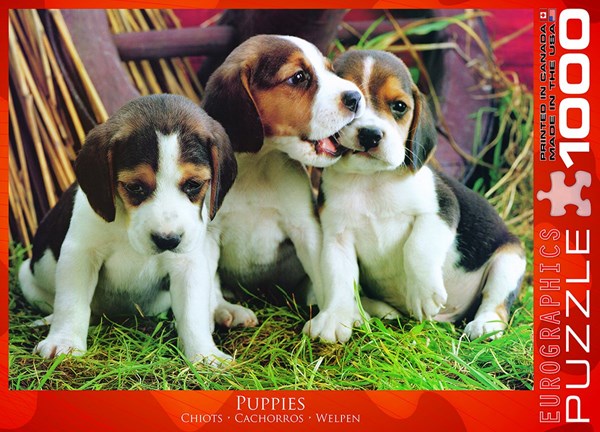 Eurographics (6000-4054) - "Puppies" - 1000 brikker puslespil