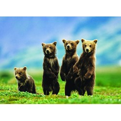 Eurographics (6000-0531) - "Bear Cubs Standing" - 1000 brikker puslespil