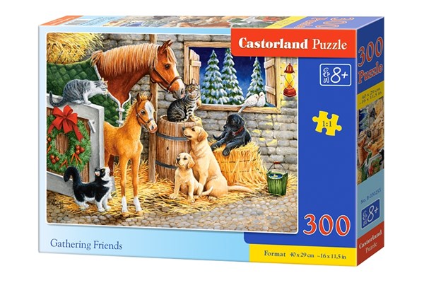Castorland (B-030255) - "Gathering Friends" - 300 brikker puslespil