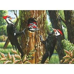 Cobble Hill (51719) - "Pileated Woodpeckers" - 1000 brikker puslespil