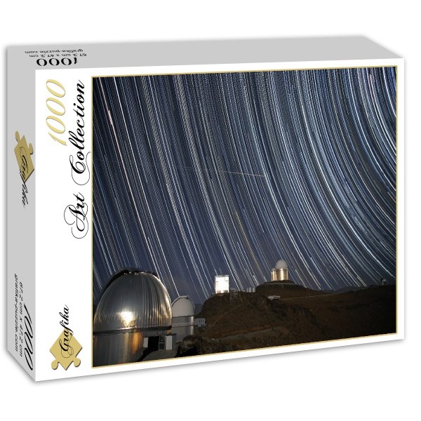 Grafika (00760) - "Is it a Bird?" - 1000 brikker puslespil