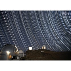 Grafika (00760) - "Is it a Bird?" - 1000 brikker puslespil