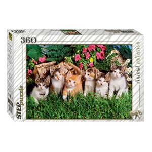 Step Puzzle (73058) - "Cat's family" - 360 brikker puslespil