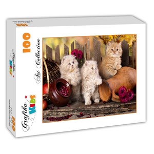 Grafika Kids (00320) - "Persian kittens" - 100 brikker puslespil