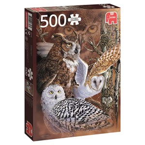Jumbo (18346) - "Find the Owls" - 500 brikker puslespil