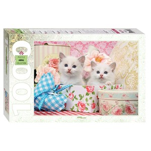 Step Puzzle (79100) - "Kittens" - 1000 brikker puslespil