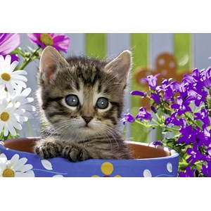 Ravensburger (08971) - "Kat og hund" - 24 brikker puslespil