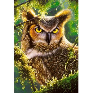 Castorland (C-103577) - "Watching & Waiting, Owl" - 1000 brikker puslespil