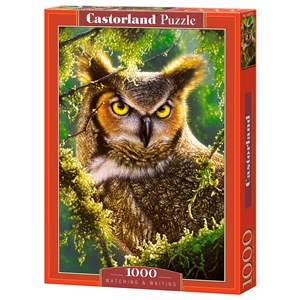 Castorland (C-103577) - "Watching & Waiting, Owl" - 1000 brikker puslespil