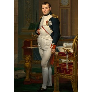 Grafika Kids (00360) - Jacques-Louis David: "The Emperor Napoleon in his study at the Tuileries, 1812" - 100 brikker puslespil