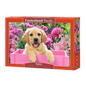 Castorland (B-52226) - "Labrador Puppy in Pink Box" - 500 brikker puslespil