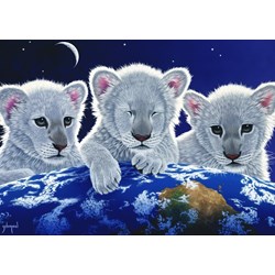 Grafika (T-00404) - Schim Schimmel, William Schimmel: "Secret, Mystery and Hope" - 1000 brikker puslespil