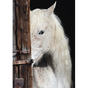 Schmidt Spiele (58278) - "Horse Beauty" - 1000 brikker puslespil