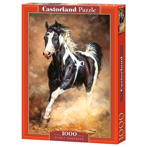 Castorland (C-103690) - "Spirit Unbroken" - 1000 brikker puslespil