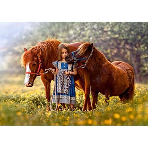 Castorland (B-52509) - "Beauty Within" - 500 brikker puslespil