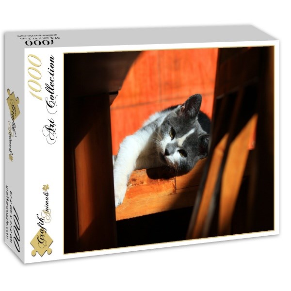 Grafika (01409) - "Kitten" - 1000 brikker puslespil