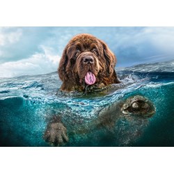 Castorland (C-103478) - "Big Brown" - 1000 brikker puslespil