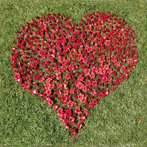 Puzzle Michele Wilson (Z81) - "I Love You" - 30 brikker puslespil