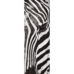 Clementoni (39307) - "Animals" - 500 brikker puslespil