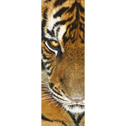 Clementoni (39307) - "Animals" - 500 brikker puslespil