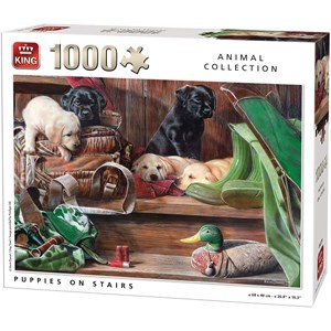 King International (05379) - "Puppies on Stairs" - 1000 brikker puslespil