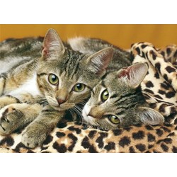 Clementoni (08103) - "Animals" - 500 1000 brikker puslespil