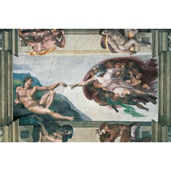 Ravensburger (17408) - Michelangelo: "The Creation of Adam" - 5000 brikker puslespil