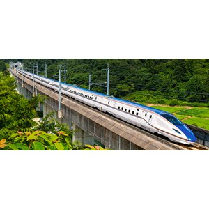 Castorland (B-060146) - "The Fast Train" - 600 brikker puslespil