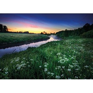 Tactic (40902) - "Summer Night" - 1000 brikker puslespil