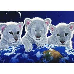 Grafika (T-00403) - Schim Schimmel: "Secret, Mystery and Hope" - 1500 brikker puslespil