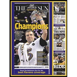 White Mountain (973) - "White Mountain" - 550 brikker puslespil