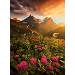 Clementoni (39329) - "As It Fades" - 1000 brikker puslespil