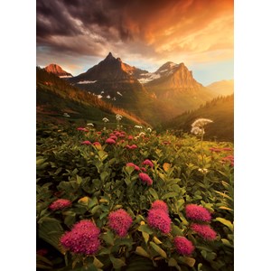 Clementoni (39329) - "As It Fades" - 1000 brikker puslespil