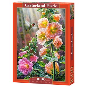 Castorland (C-103584) - "After the Rain" - 1000 brikker puslespil