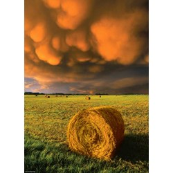 Heye (29550) - "Rising Storm" - 1000 brikker puslespil