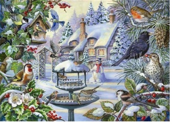 The House of Puzzles (2247) - "Winter Birds" - 500 brikker puslespil