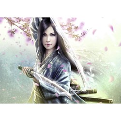 Ravensburger (19036) - "The Legend of the Five Rings" - 1000 brikker puslespil