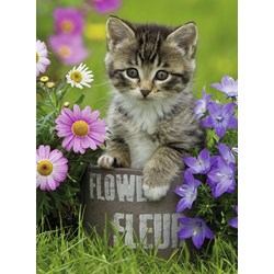 Ravensburger (10847) - "Kitten amongst the Flowers" - 100 brikker puslespil