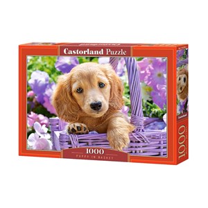 Castorland (C-103799) - "Puppy in Basket" - 1000 brikker puslespil