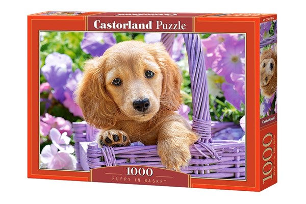 Castorland (C-103799) - "Puppy in Basket" - 1000 brikker puslespil