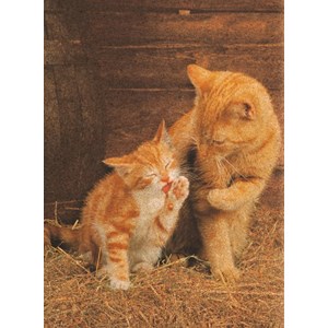 Clementoni (30205) - "Ginger Cats - Cork puzzle" - 500 brikker puslespil