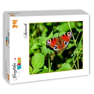 Grafika Kids (01229) - "Butterfly" - 24 brikker puslespil