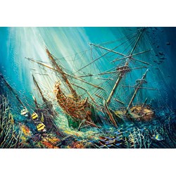 Castorland (C-103805) - "Ocean Treasure" - 1000 brikker puslespil
