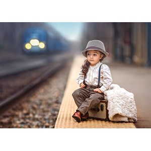 Castorland (B-52295) - "It's a Big World Out There" - 500 brikker puslespil