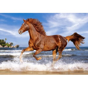 Castorland (B-52578) - "Horse on the Beach" - 500 brikker puslespil
