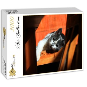 Grafika (01408) - "Kitten" - 2000 brikker puslespil