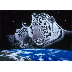 Grafika (T-00425) - Schim Schimmel, William Schimmel: "Sleep Tight" - 1000 brikker puslespil