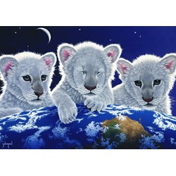 Grafika (02403) - Schim Schimmel: "Secret, Mystery and Hope" - 1000 brikker puslespil