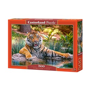Castorland (B-52745) - "Sumatran Tiger" - 500 brikker puslespil