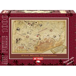 Art Puzzle (4308) - "The Piri Reis Map" - 1000 brikker puslespil